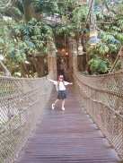 Inside Tarzan's Tree House